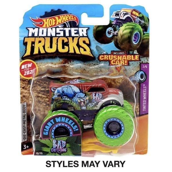 Hot Wheels Monster Truck Toy